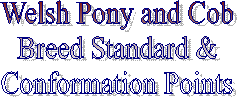 Welsh Pony and Cob
Breed Standard &
Conformation Points