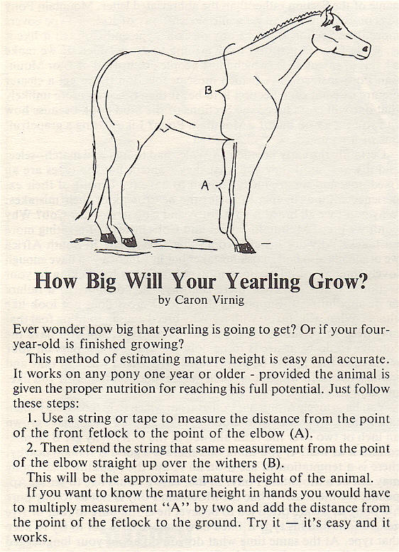 Foal Growth Chart Height