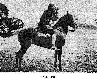 welshcob.gif (65610 bytes)